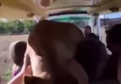Olovorgooo