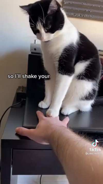 Maybe maybe maybe