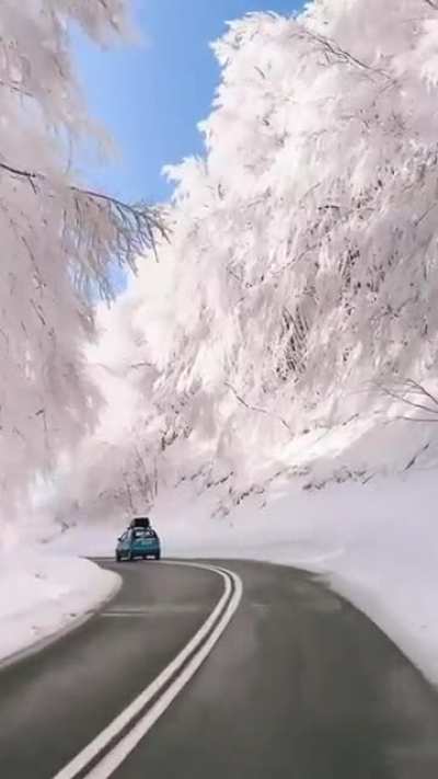 This almost unreal scenic road in Florina, Greece.