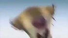 GUYS !!1!! I JUST FOUND OUT OUT THAT SID FROM ICE AGE 2 (A Really Cool Movie!!) SAID THE N WORD!1!!!!