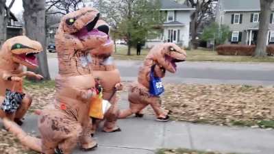 My son happened across a herd of other t-rex last night and they asked him to join them.