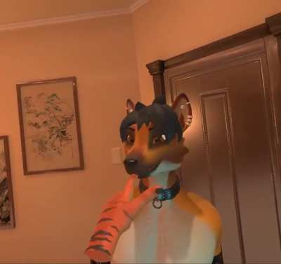 furry_irl