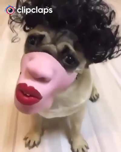 Buguei aqui