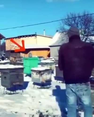 Nice aim