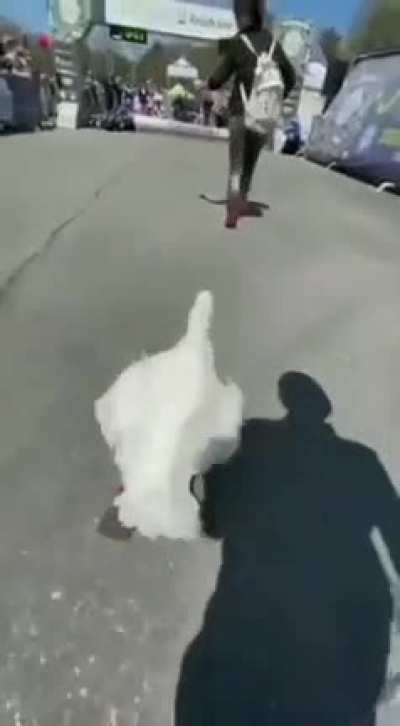 hmm