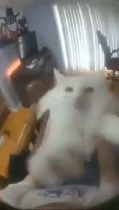 wunkus danc