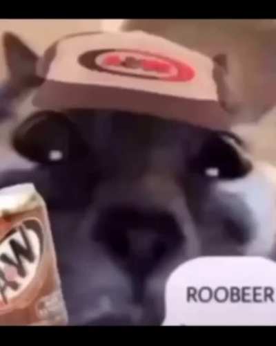 mm dr pebbler