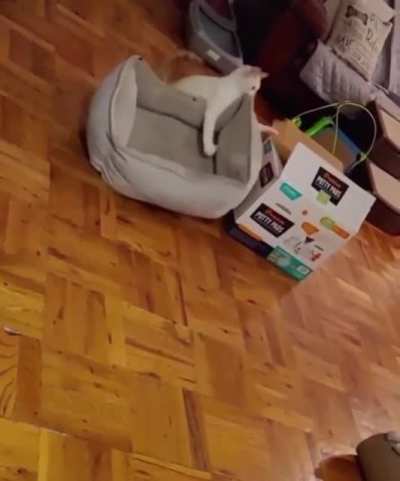 This should fit, right?
