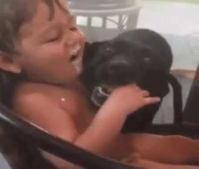 Dog: 1 - Baby: 0
