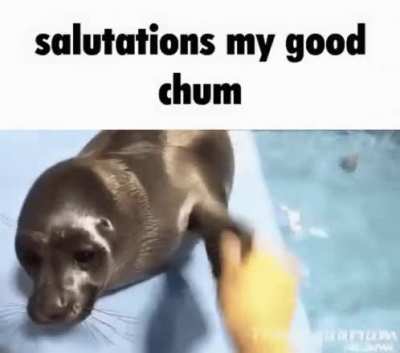 salutations