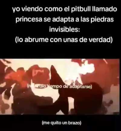 BeelcitosMemes - Video #0493