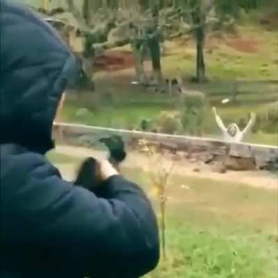 High accuracy and precision