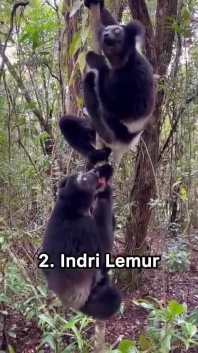 WEEEEEEiiii