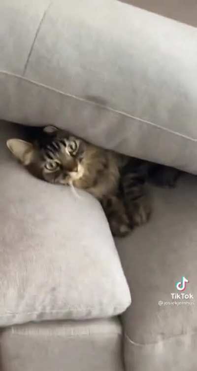 Help me