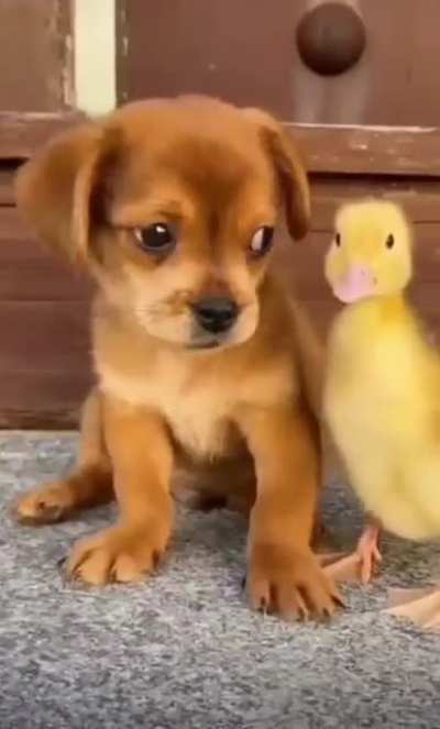 My little friend ✨♥️