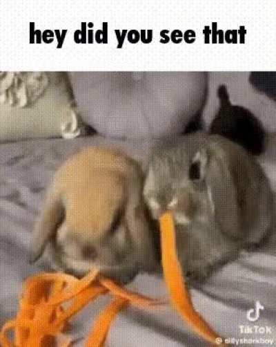 bdhshhsbsbbsbbaj