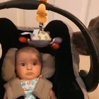 An adorable example