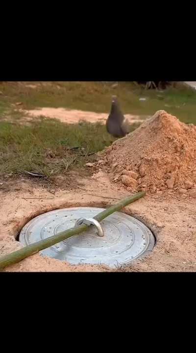 Target acquired 