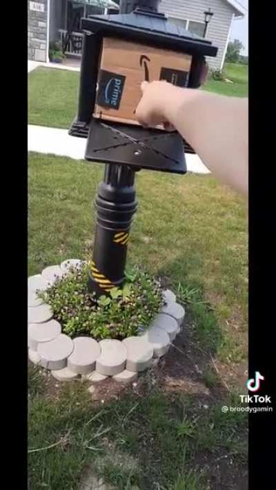 My new favorite video of all time on TikTok