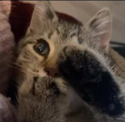 He is just a little baby..