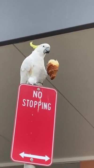 Hmm... Delicious