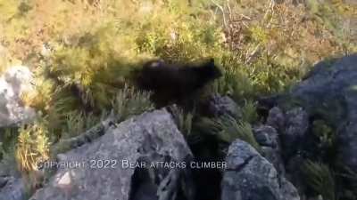 Rock Climber Fights Off Bear Attack