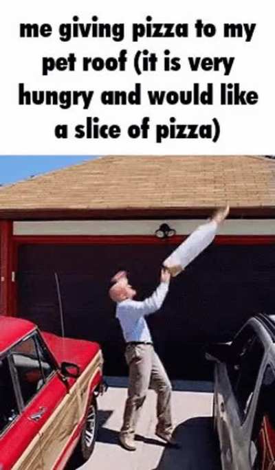 hungry roof