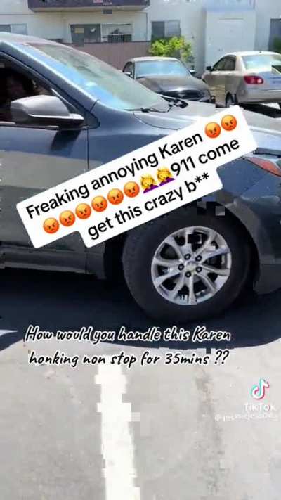 Lady honks horn for 35 mins because someone’s in her spot. Other resident goes off “There’s babies asleep!” Horn lady: “I don’t give a FUCK!” *sorry about the obnoxious TT graphics and loudness*