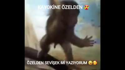 kayokin benle seviş 😘