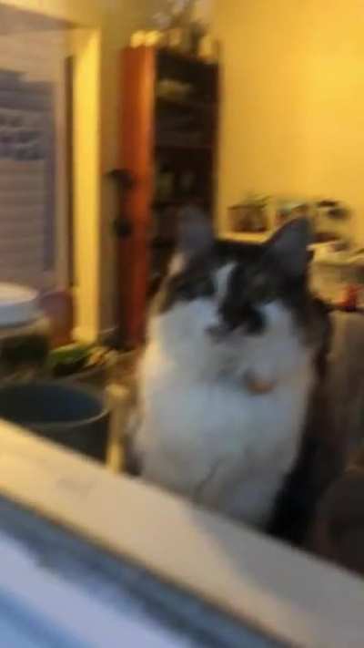 “What the fuck guys?!!”