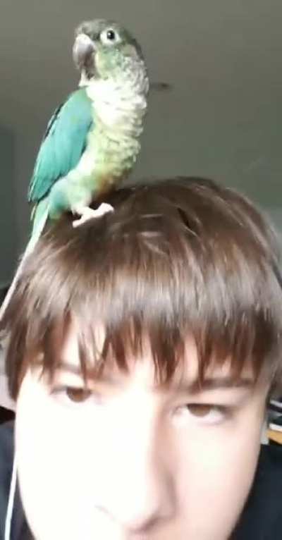 My friend’s bird needs an education too