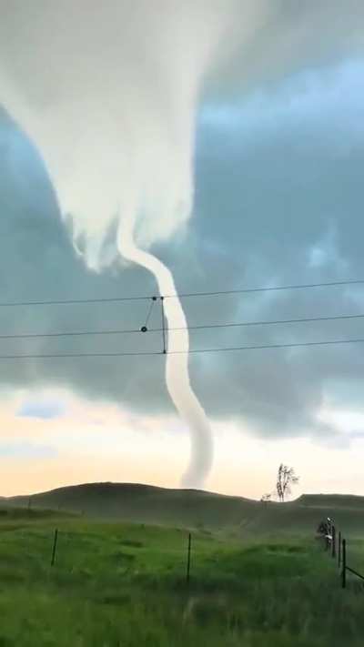 Is Bridgit Mendler not releasing music because she’s standing in the eye of the hurricane?