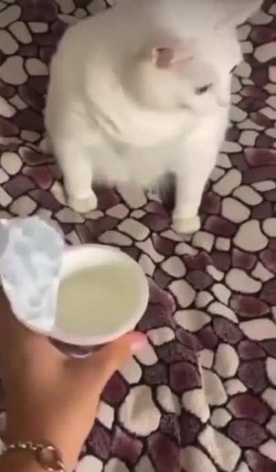 He doesn’t like the cream very much