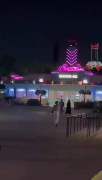 Fighting (and some wig snatching) at an amusement park