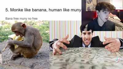 TOP TEN REASON WHY MONKE BETTER DEN HUMANITY