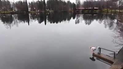 Meanwhile in Finland..