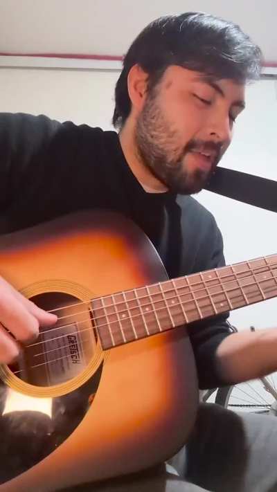 Sorry, another boring Blackbird cover (Wings live version)
