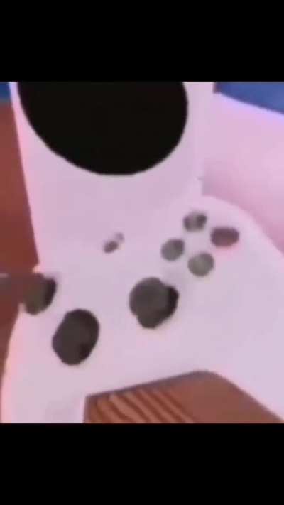 Xbussy