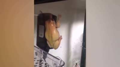 Funnty frog!!1!!