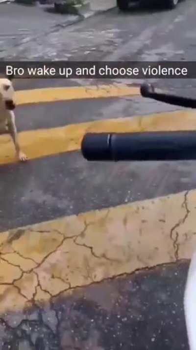 goofy ahh dog