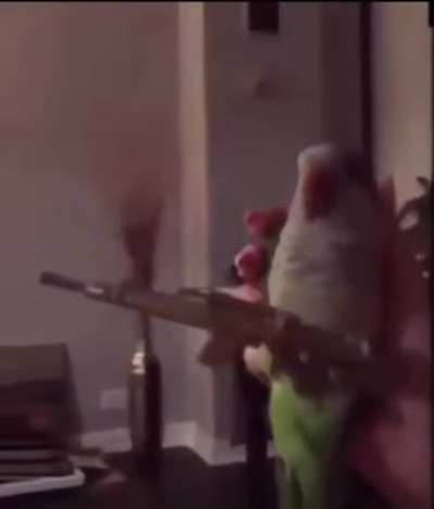 Опасный птиц