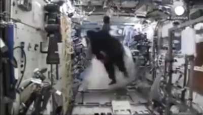 random chimp event