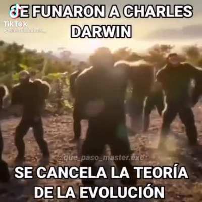 Se cancela, volvamos a lo que estábamos.