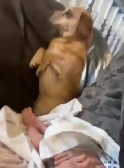 that's a stinky ass