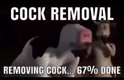 pls dont remov my pp