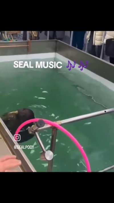 DJ KHALED