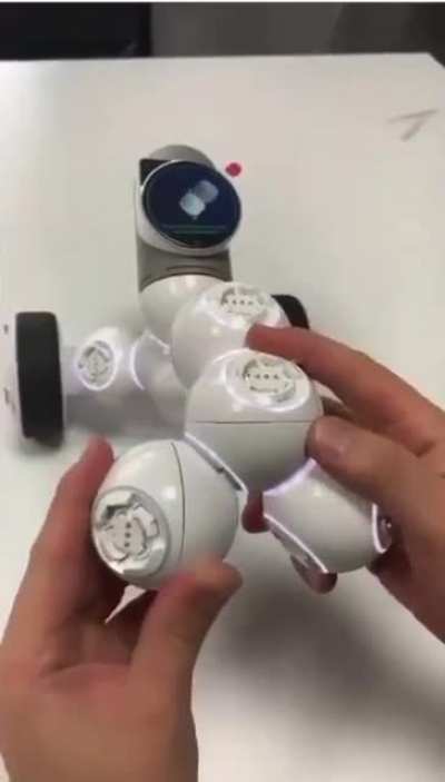Building a Robot