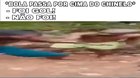 Não foi