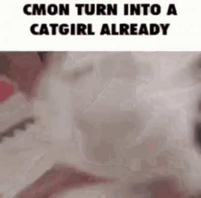 Rule