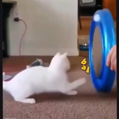 ball
